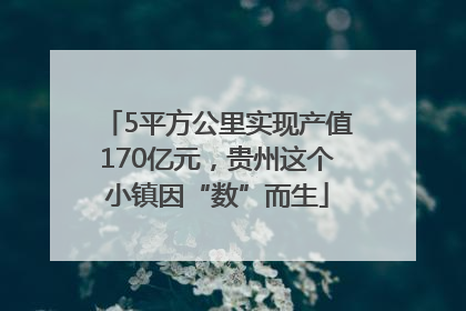 5平方公里实现产值170亿元，贵州这个小镇因“数”而生