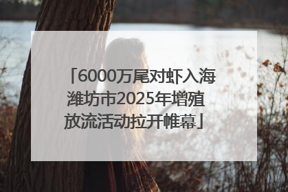 6000万尾对虾入海 潍坊市2025年增殖放流活动拉开帷幕