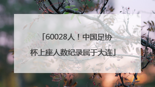 60028人！中国足协杯上座人数纪录属于大连