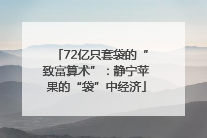 72亿只套袋的“致富算术”：静宁苹果的“袋”中经济