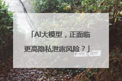 AI大模型，正面临更高隐私泄露风险？