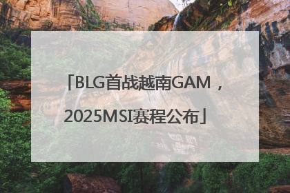 BLG首战越南GAM，2025MSI赛程公布