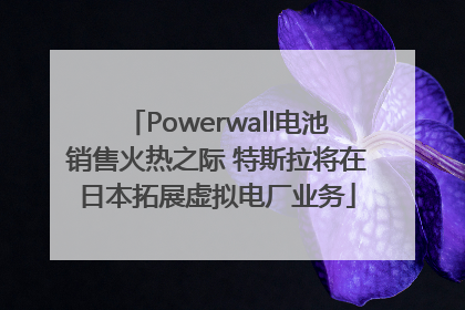 Powerwall电池销售火热之际 特斯拉将在日本拓展虚拟电厂业务